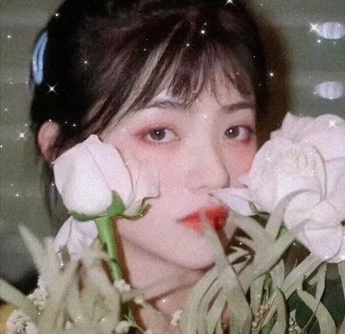 绵羊侦探团海报